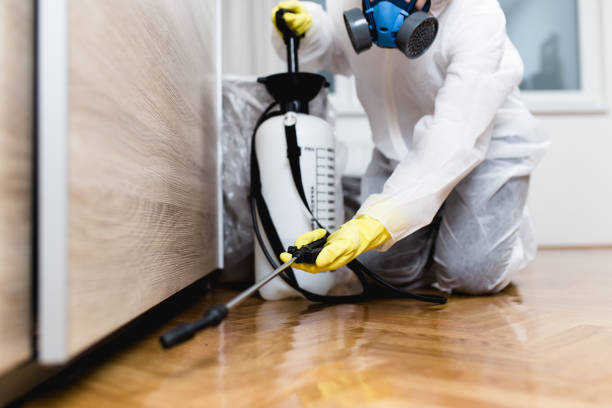 Professional Pest Control in Winnebago, IL