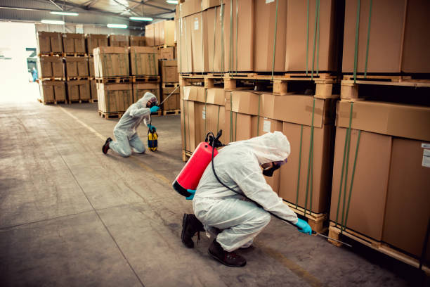 Best Termite Control Services  in Winnebago, IL