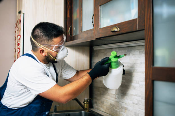 Best Residential Pest Control  in Winnebago, IL