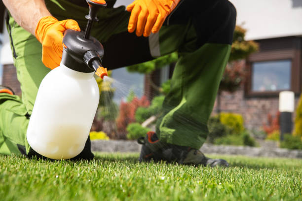 Best Pest Prevention Services  in Winnebago, IL