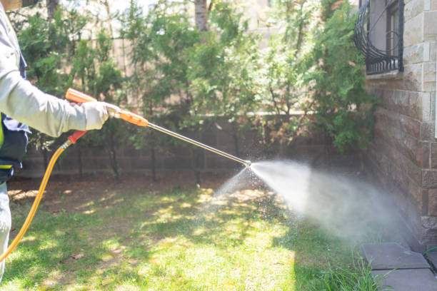 Best Local Pest Control Services  in Winnebago, IL