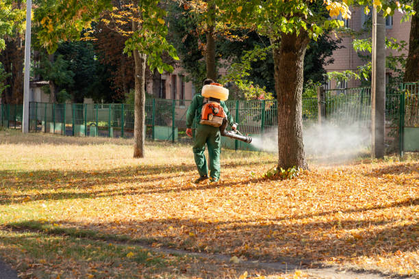 Best Pest Control for Homes  in Winnebago, IL