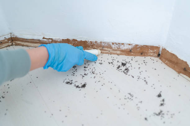 Best Commercial Pest Control Services  in Winnebago, IL