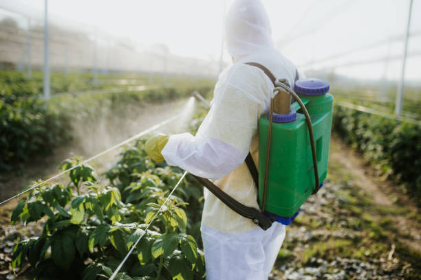 Pest Control for Restaurants in Winnebago, IL
